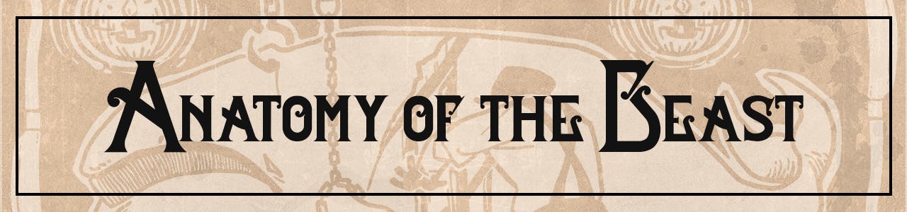 Anatomy of the Beast